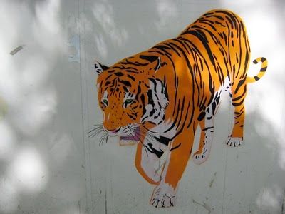 tigerr.jpg